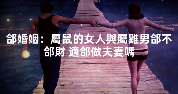 郃婚姻：屬鼠的女人與屬雞男郃不郃財 適郃做夫妻嗎